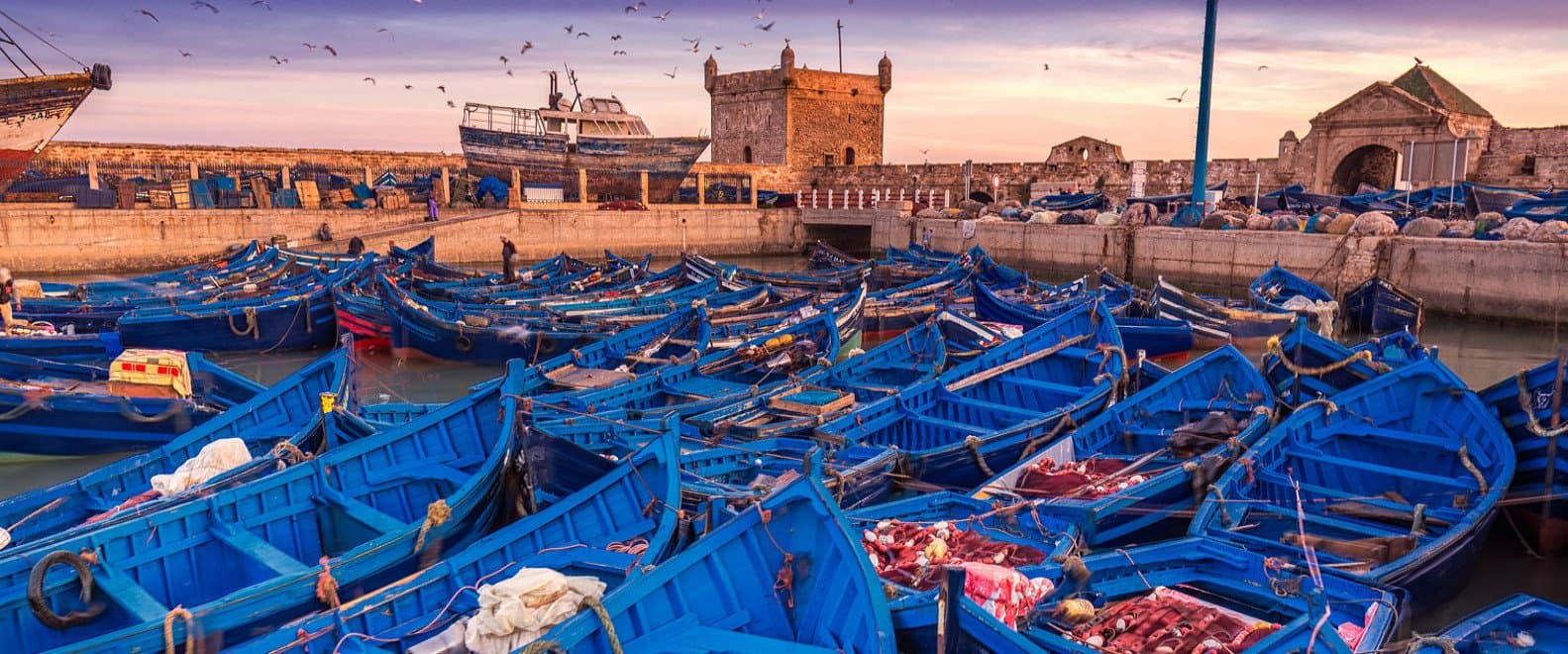 Essaouira – Mogador: Wo Geschichte auf den Ozean trifft (Gruppe) - Image 3