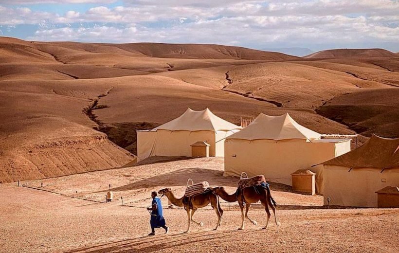 Agafay desert: Lunch, Quad and Camel ride